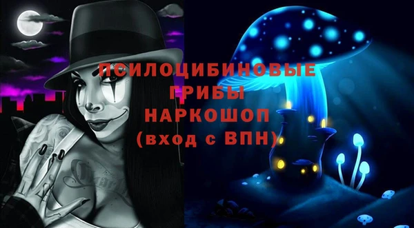 сатива Братск