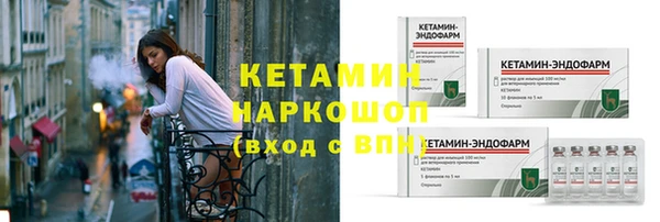 сатива Братск