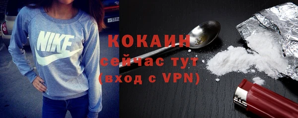 сатива Братск