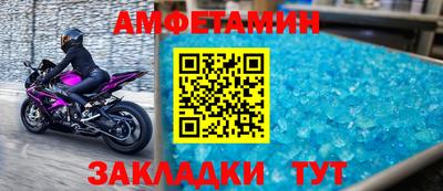 амф Кингисепп