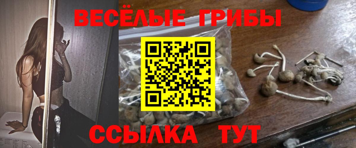 Галлюциногенные грибы MAGIC MUSHROOMS Избербаш