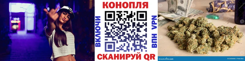купить наркотик  Избербаш  Конопля сатива 